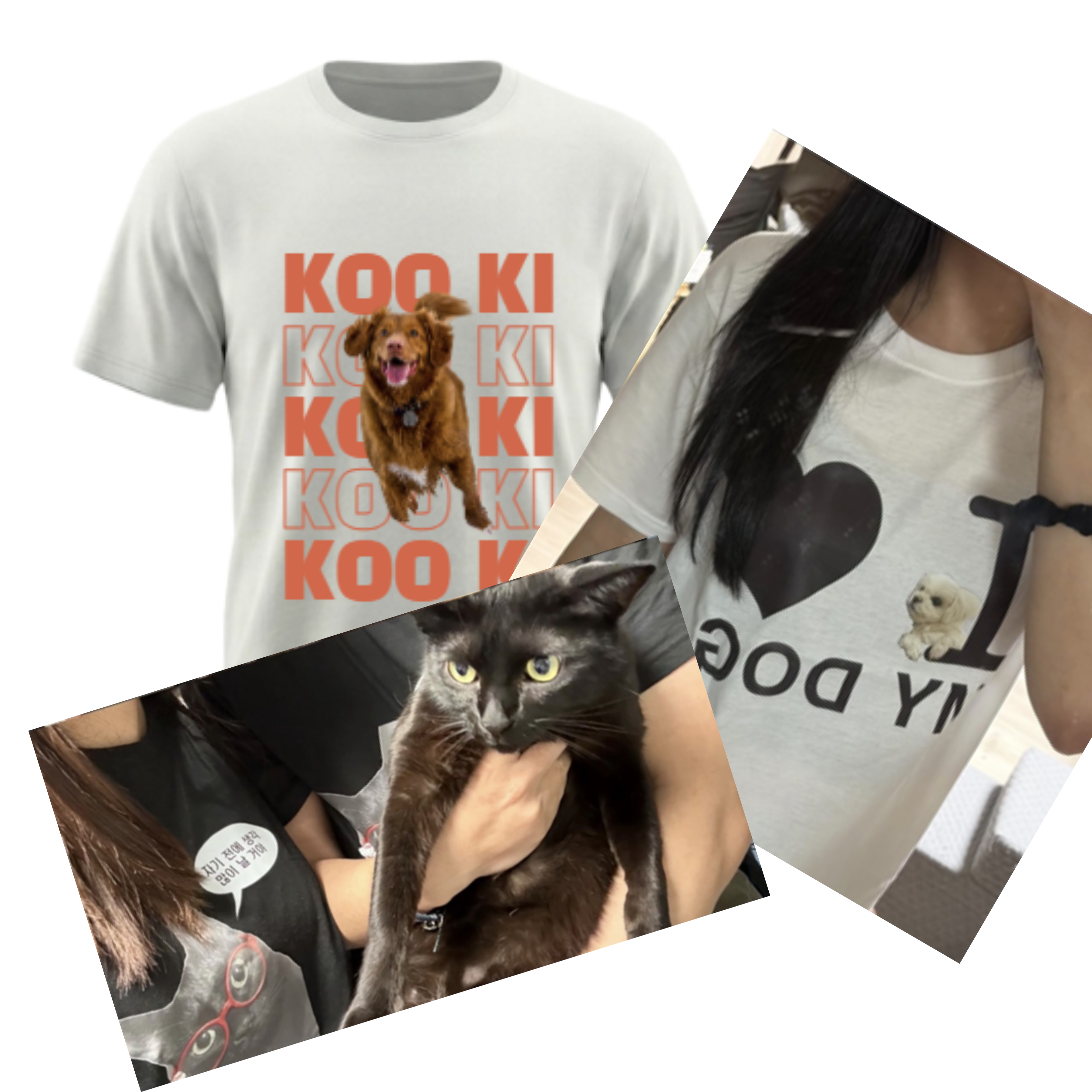 우리 집 뽀삐 자랑!